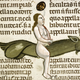 Illustration for article titled Bizarre and vulgar illustrations from illuminated medieval manuscripts